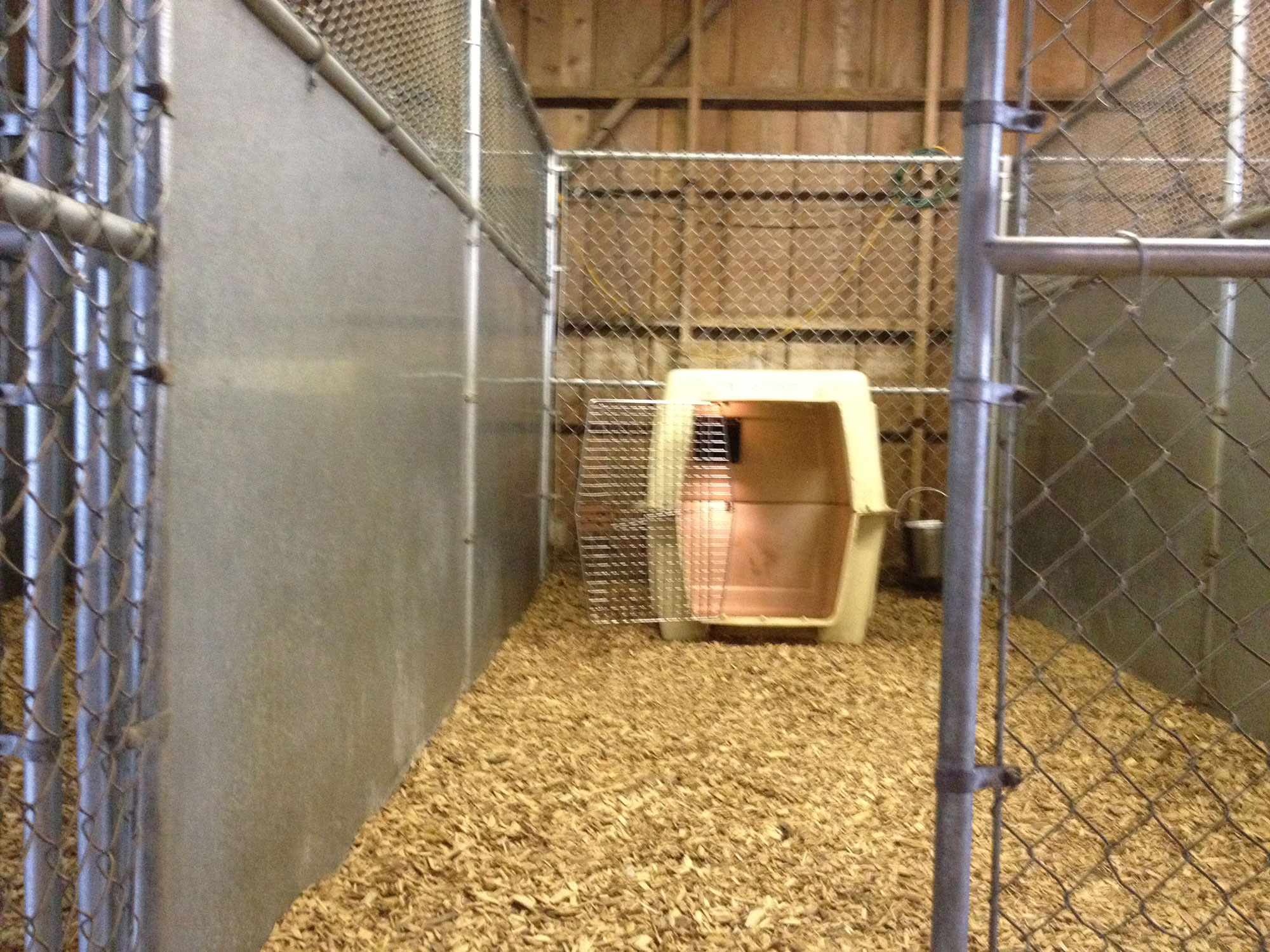 private 6x12 foot dog kennels